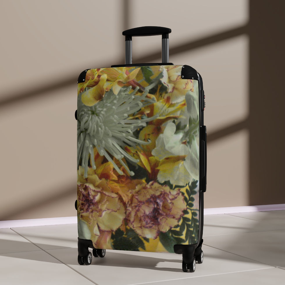 Thumbnail: Earth Angels Collection History 03 Suitcases