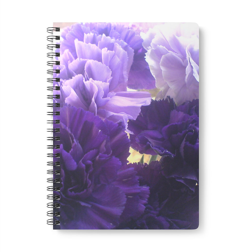Thumbnail: Earth Angels Collection History 01 Wirobound Softcover Notebook, A5