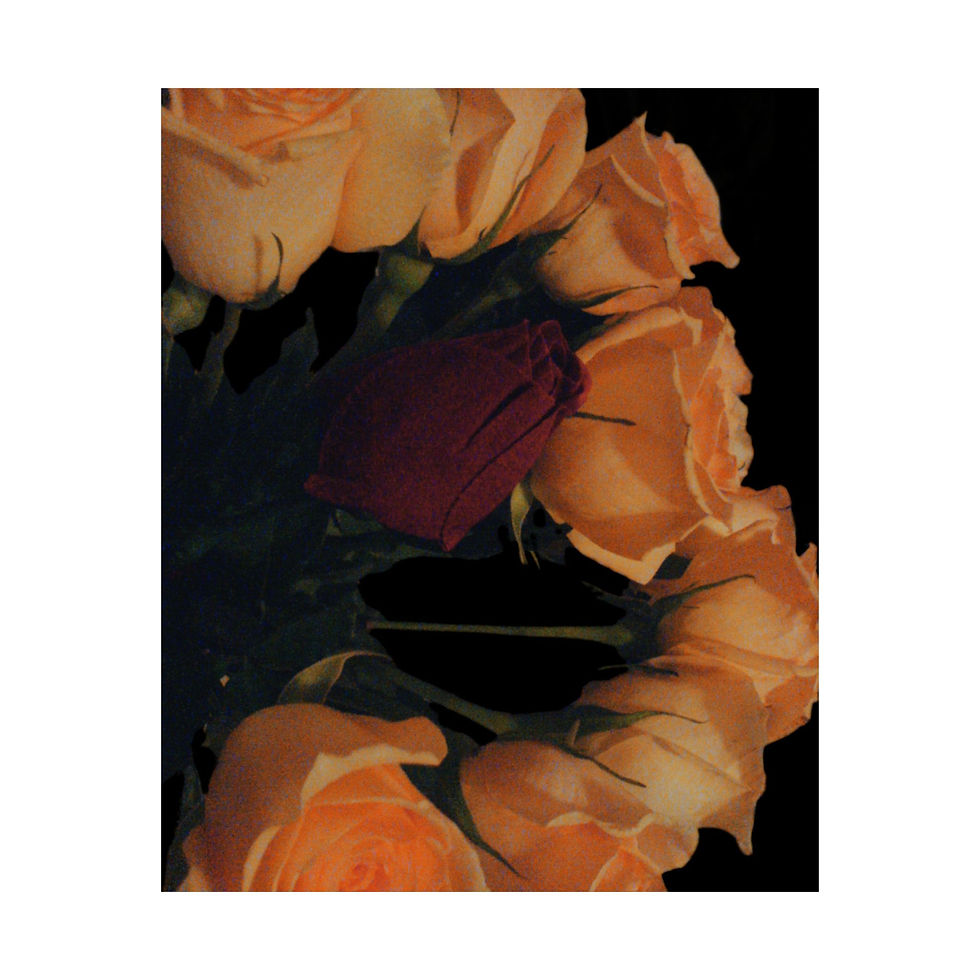Thumbnail: Earth Angels Collection History 02 Matte Vertical Posters