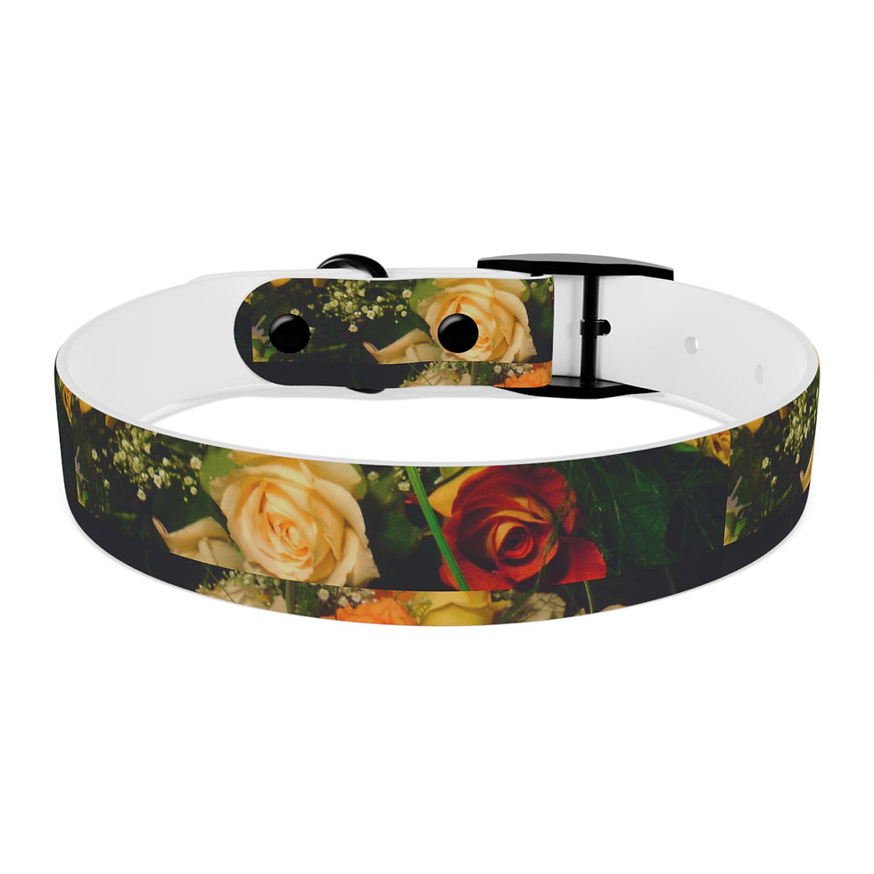 Thumbnail: Earth Angels Collection History 04 Dog Collar