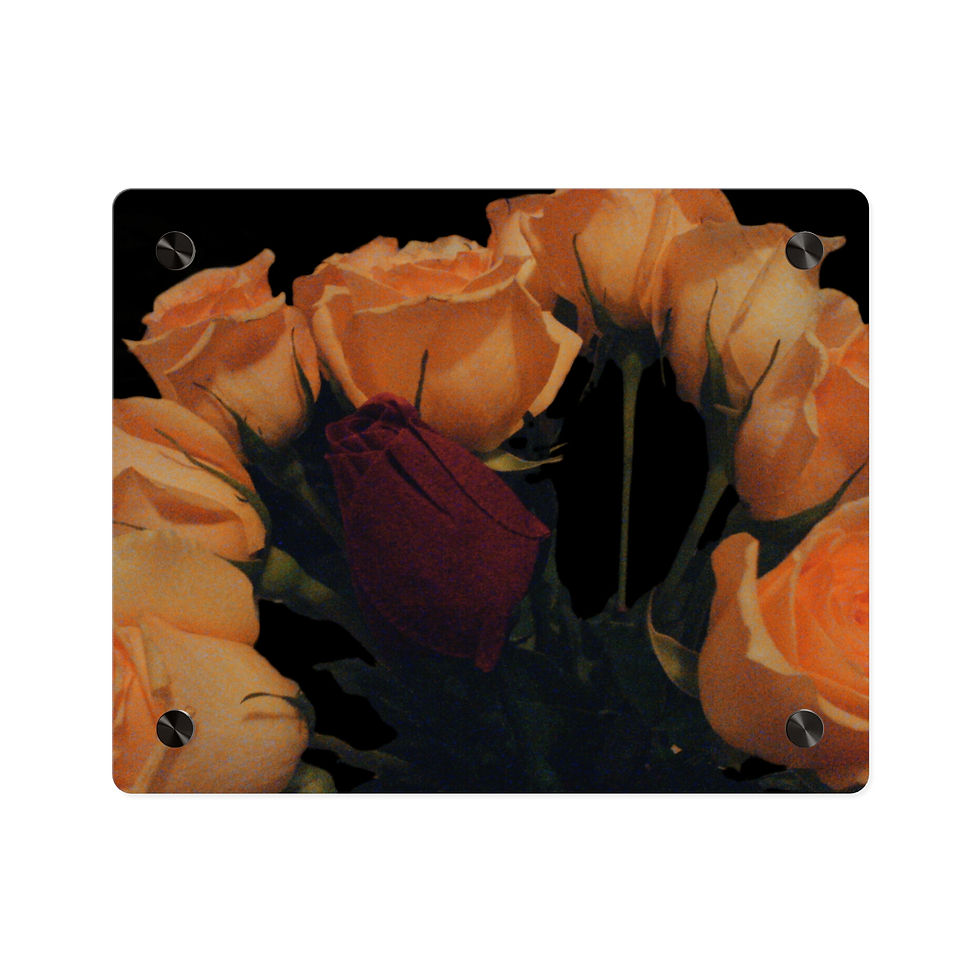 Thumbnail: Earth Angels Collection History 02 Acrylic Wall Art Panels