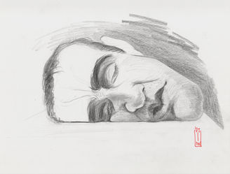 #029- Estudio a partir de "Mask II", de Ron Mueck