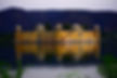 jaipur-7798509.jpg