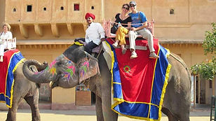 elephant-ride-jaipur-rajasthan.jpg