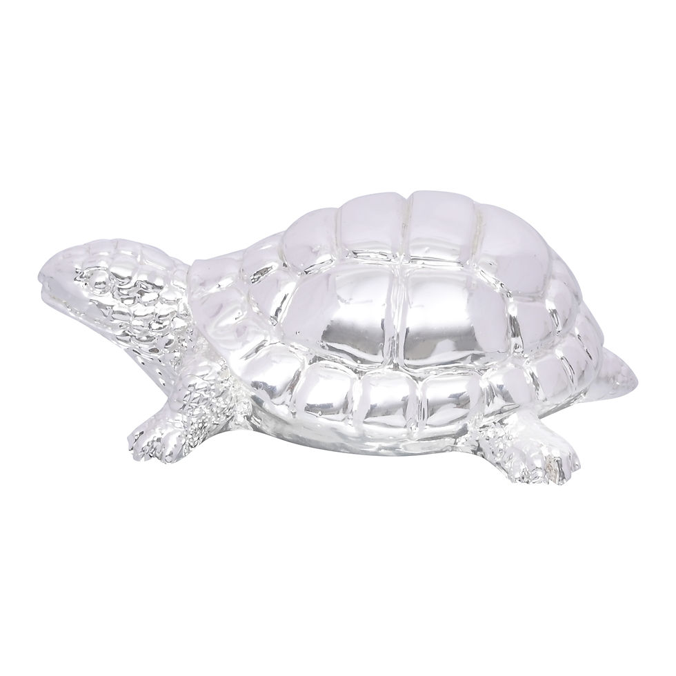Thumbnail: Turtle