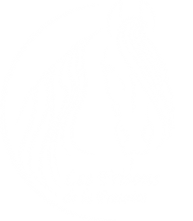 logo-Frisons-de-la-Fretaire-white-big.png