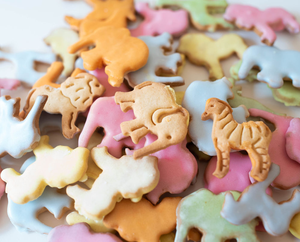 Gluten Free Iced Animals