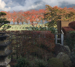 EDE70A9C-1AA5-4127-9FD4-902CF98260B1.JPG