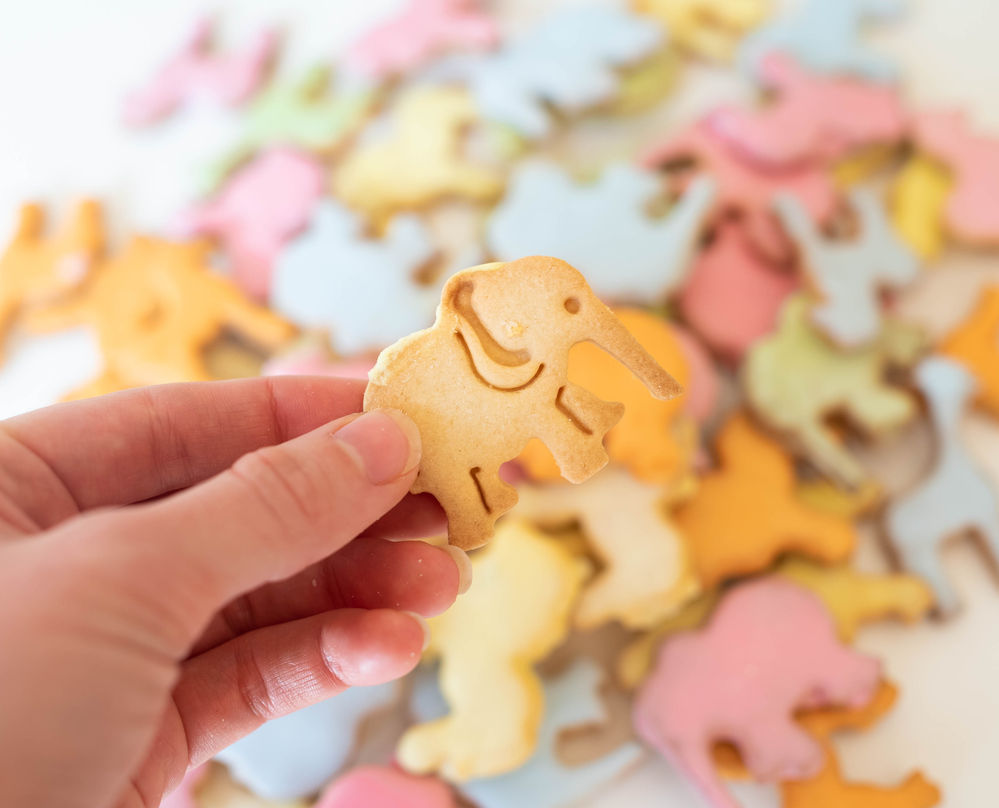 Gluten Free Iced Animals