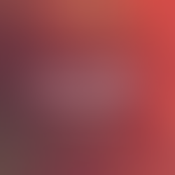 Carta del Productor – Noviembre 2025