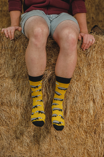 Bamboo socks | Badger Trust