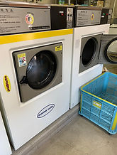 IMG_5493.JPG