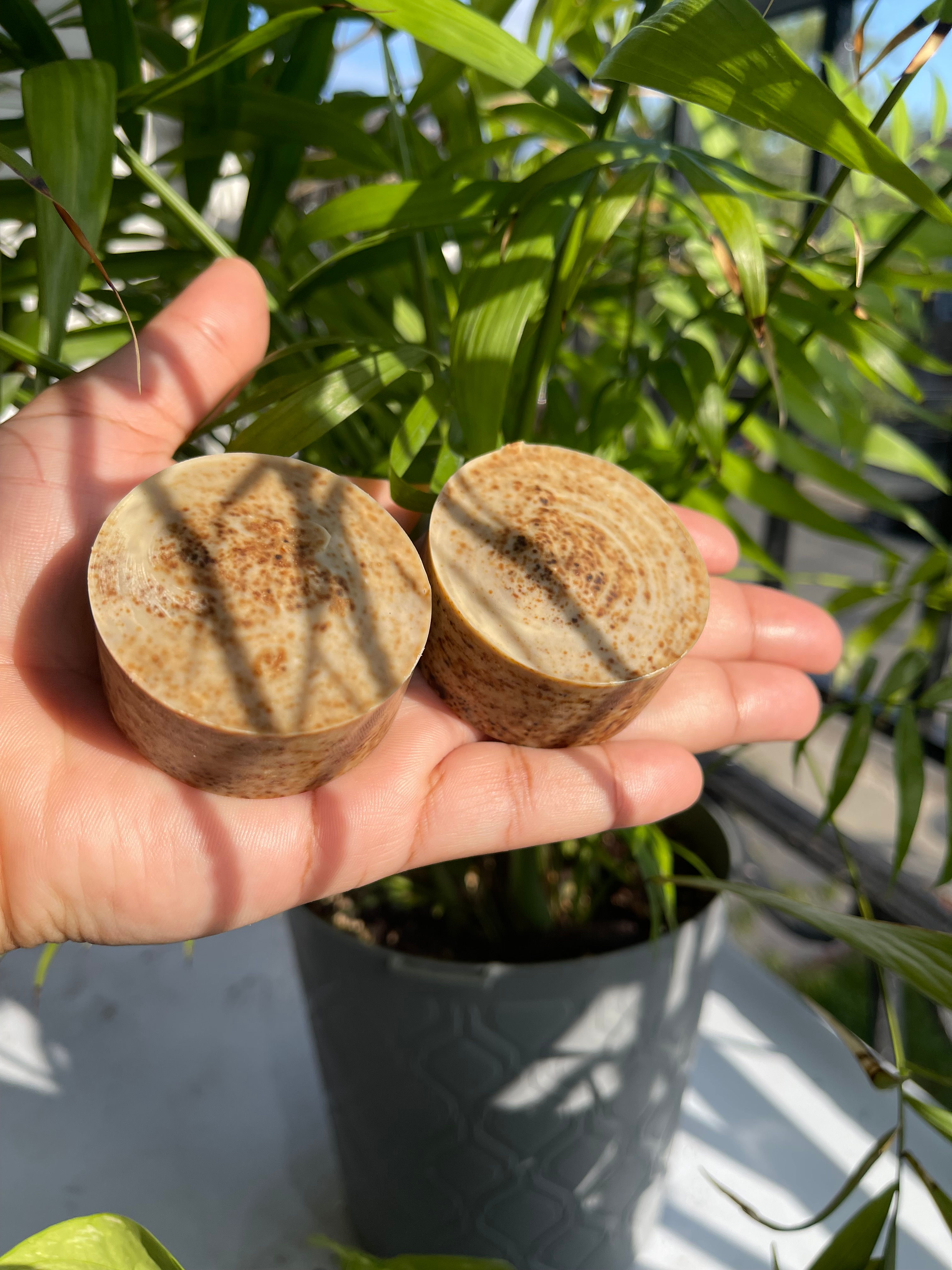 Coffee Beam Soap