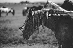IMG_1942 2
