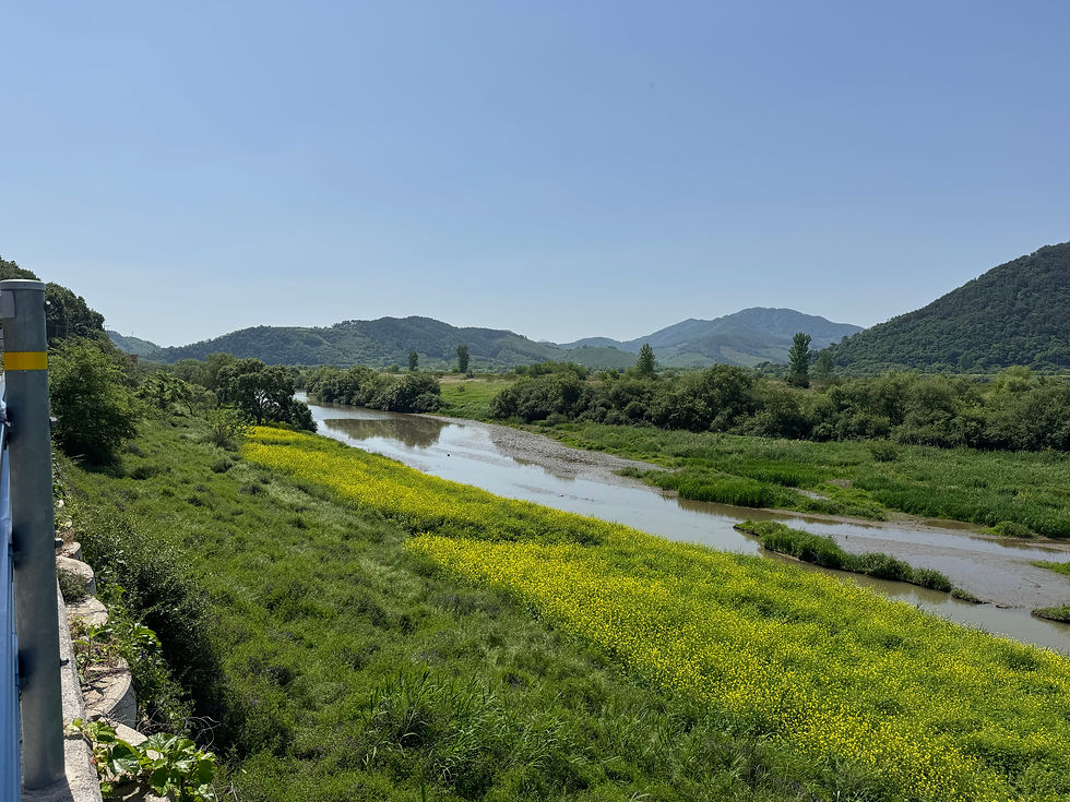 Scenic river view with vibrant yellow wildflowers in bloom.