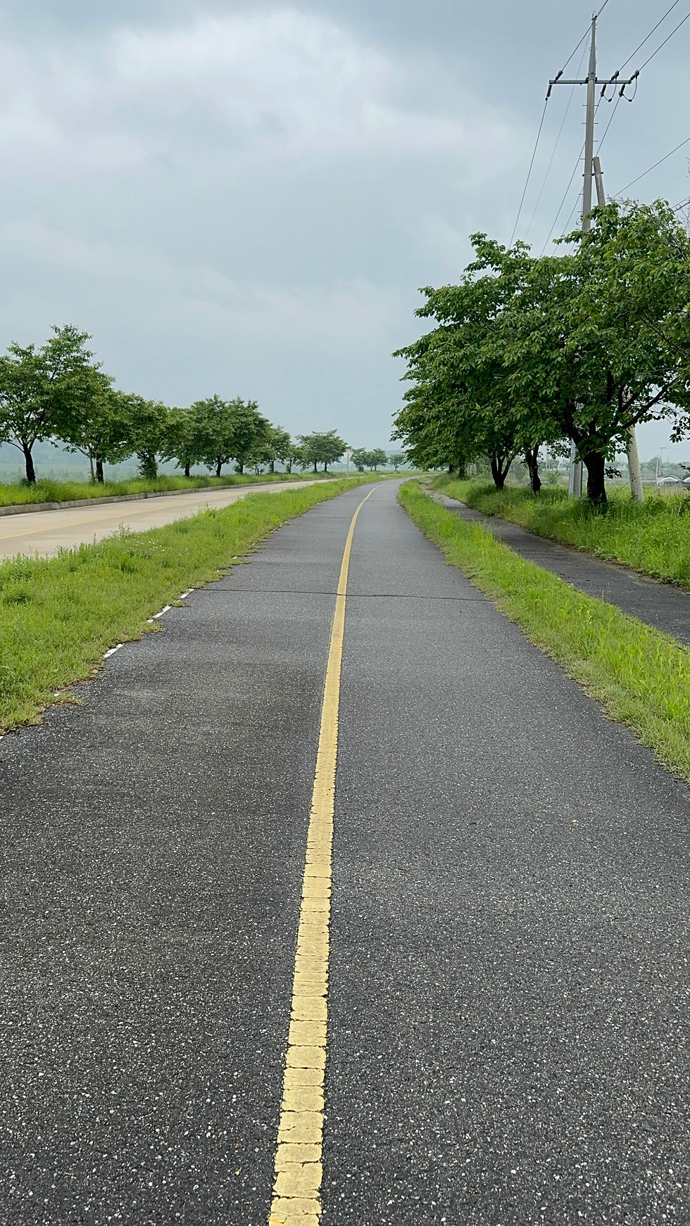 A quiet road lined with green trees under a cloudy sky.