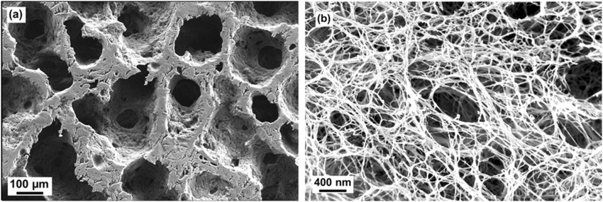 Scanning electron microscopy images of aerogels of cellulose: ACS-PO (Journal of Sol-Gel Science and Technology)