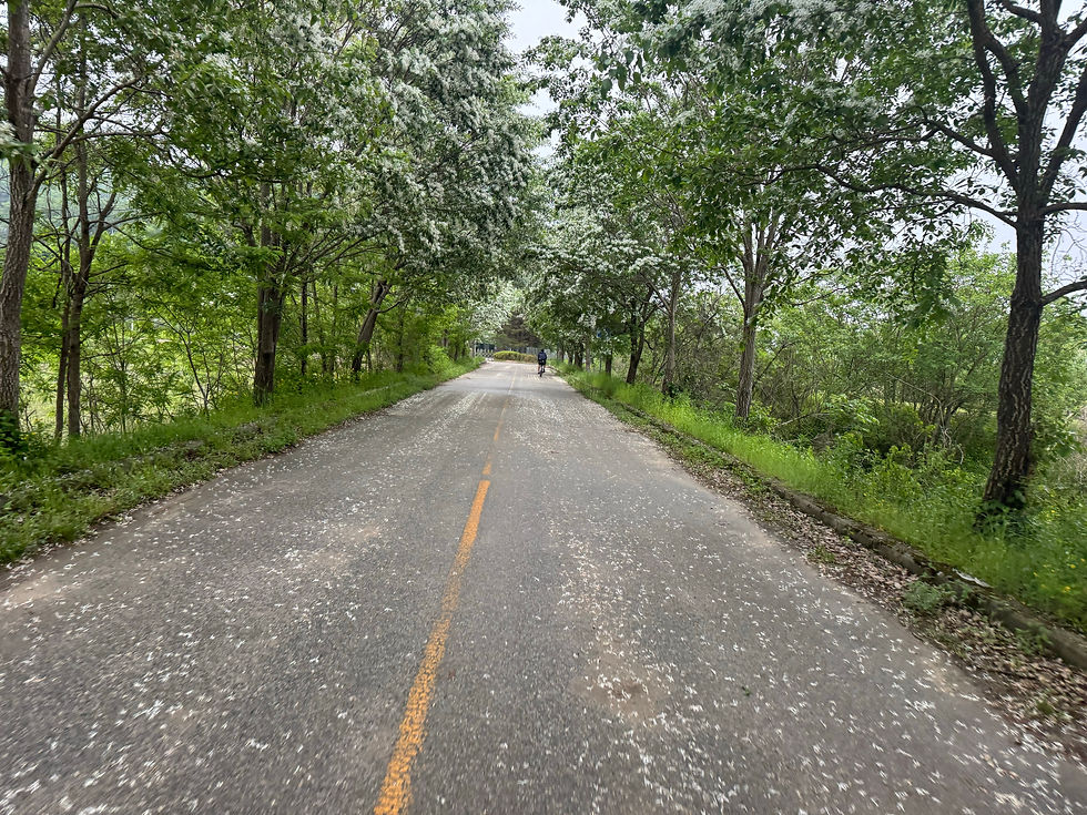 Rural Korea in North Chungcheong Province (충청북도) #3
