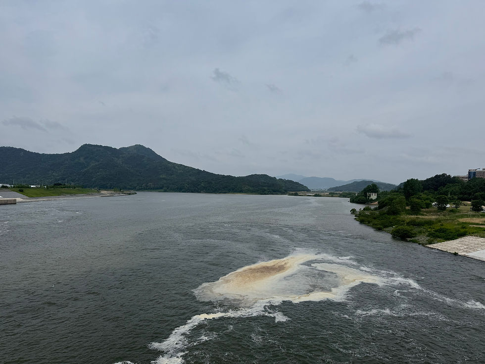 Standing Wave