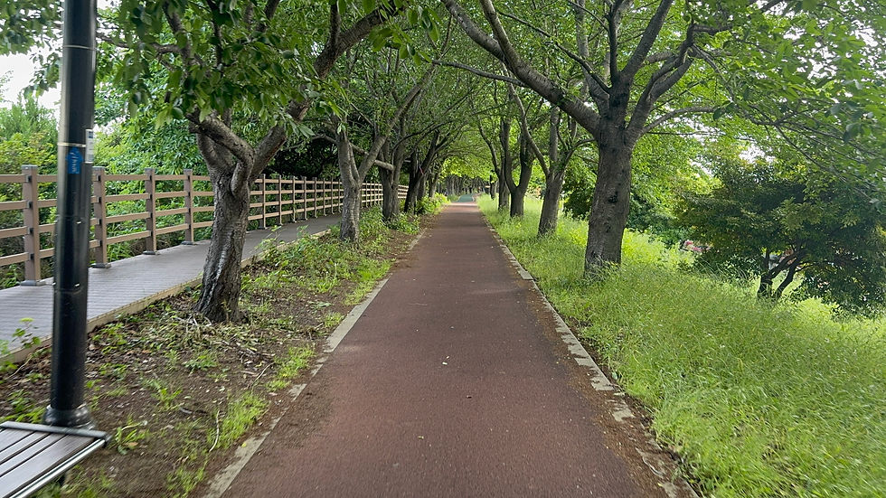 Nakdong River Park