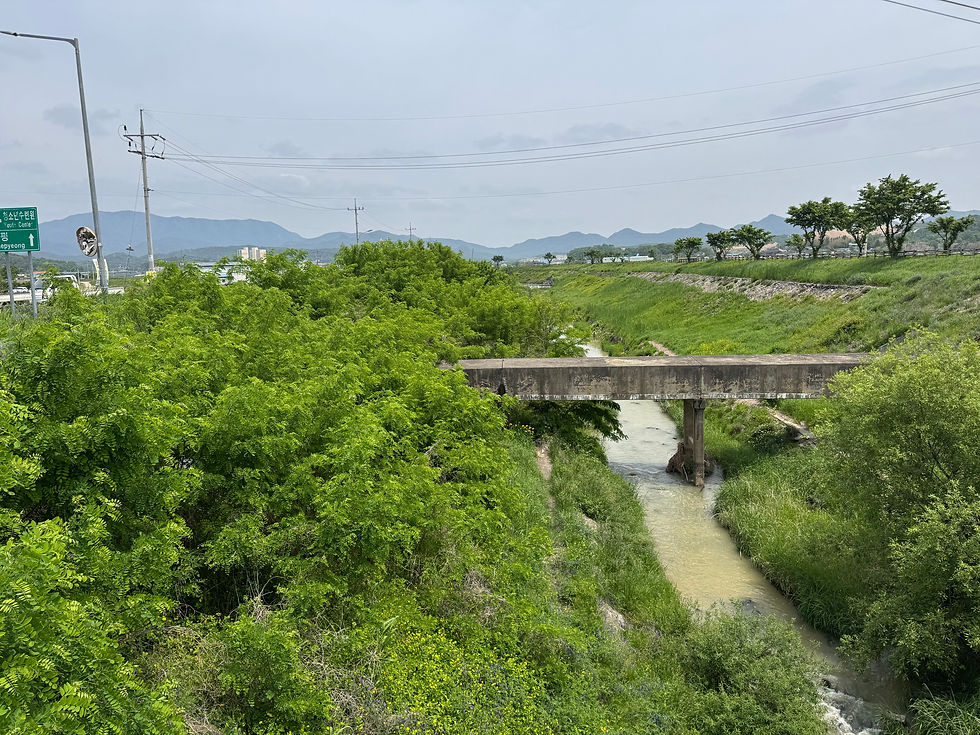 Lush greenery surrounds a small bridge over a serene stream, with distant mountains adding to the tranquil scene.
