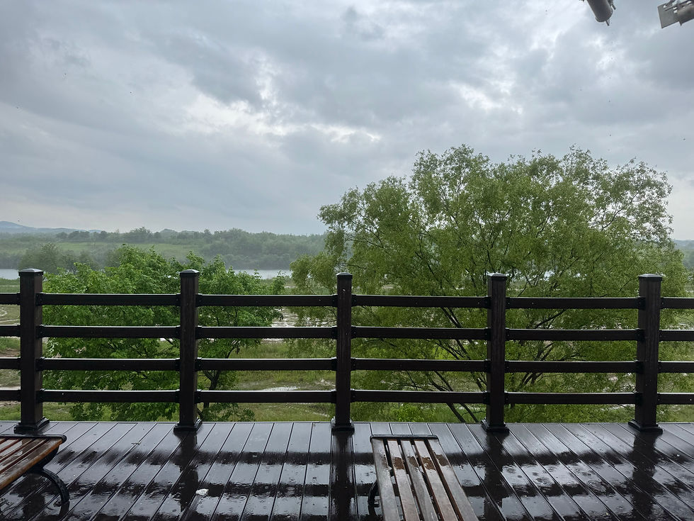 View from the Shelter