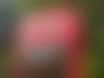 Korea Cross-Country Cycling Trip Day 5