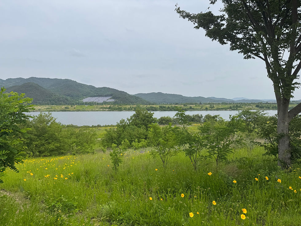 Lush greenery and yellow wildflowers frame a peaceful lakeside view with distant hills.