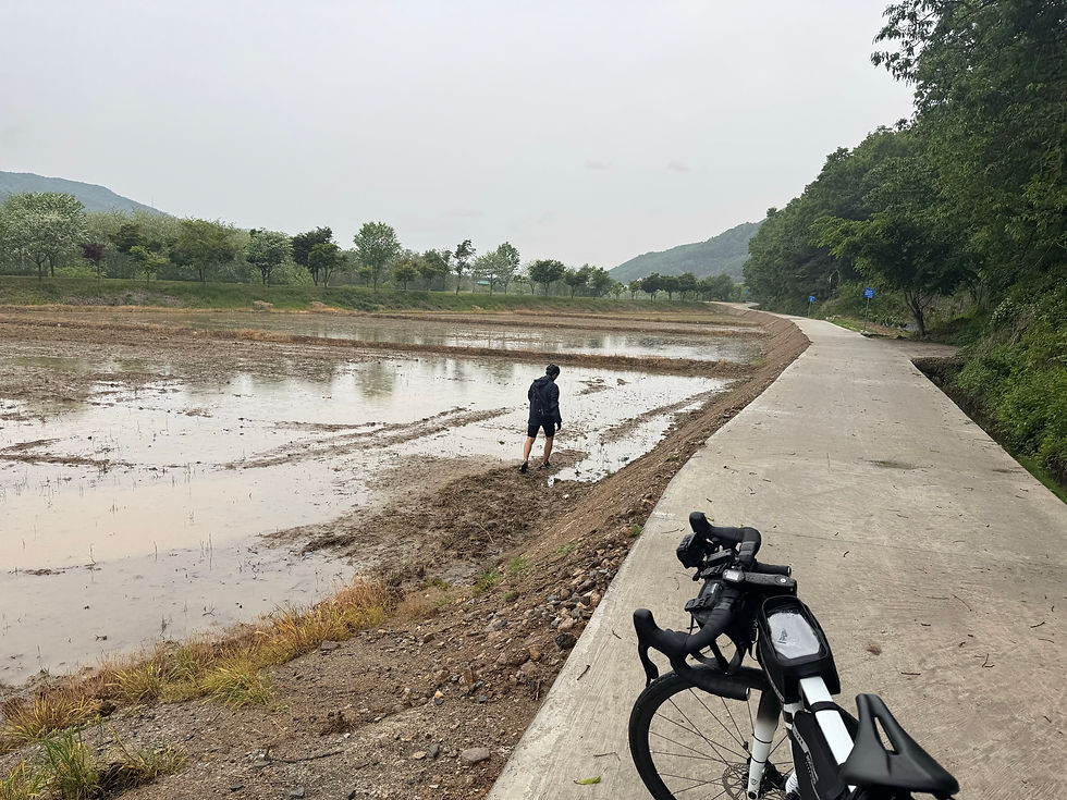 Rural Korea in North Chungcheong Province (충청북도) #4