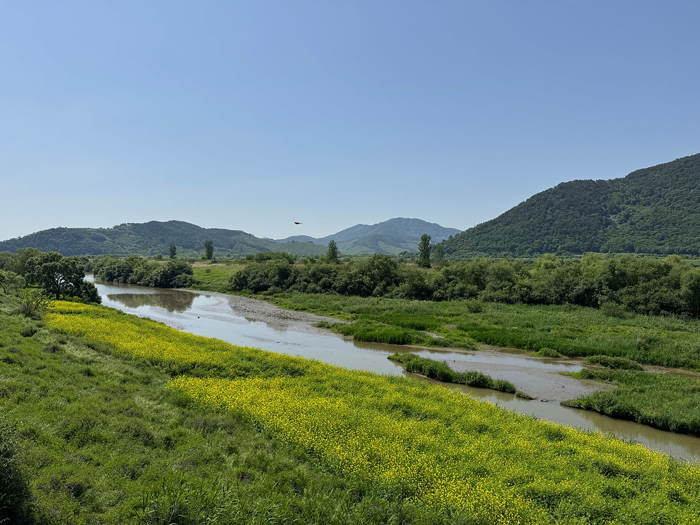 A serene river winds through lush green hills under a clear blue sky.