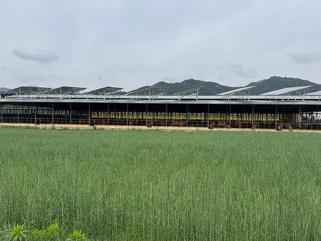 Korea Cross-Country Cycling Trip Day 4