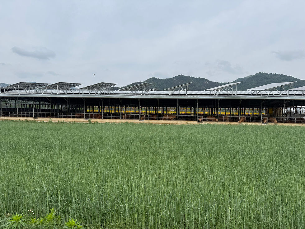 A modern barn with solar panels overlooks a lush green field.