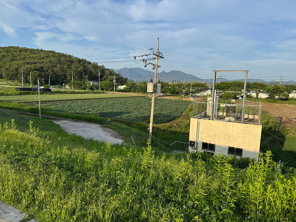 Back to rural Korea!!!