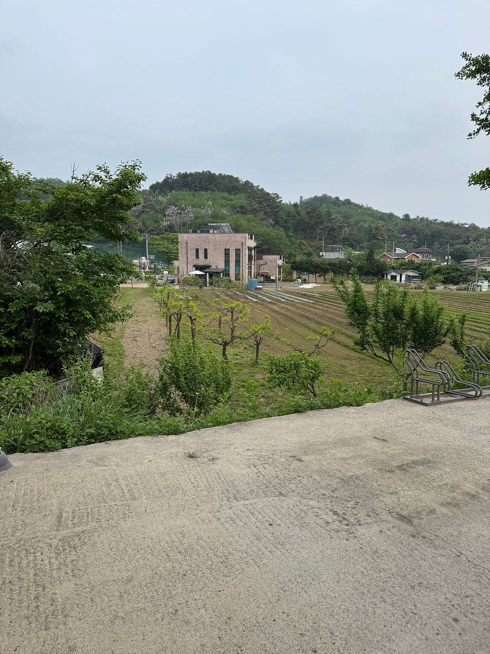 Around the Neungnae Station