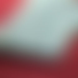 20180115-LVM-Đinh Tấn Lực-NGỤC TRUNG NHẬT KÝ