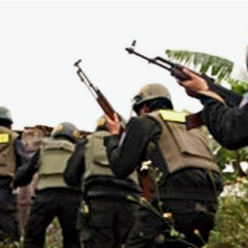 Cựu Bảo Kim: Chỉ Thiếu Một Đồng