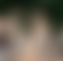 The “V” Day – Ngày Đi Làm Chánh Thẩm