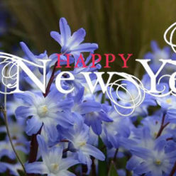 20180101-LVM-Đinh Tấn Lực-MỪNG ĐÓN 2018