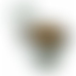 Phơi Trần Mặt Trơ Bằng Những Ngọn Gió Đứt Đầu