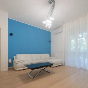 asset-22.webp