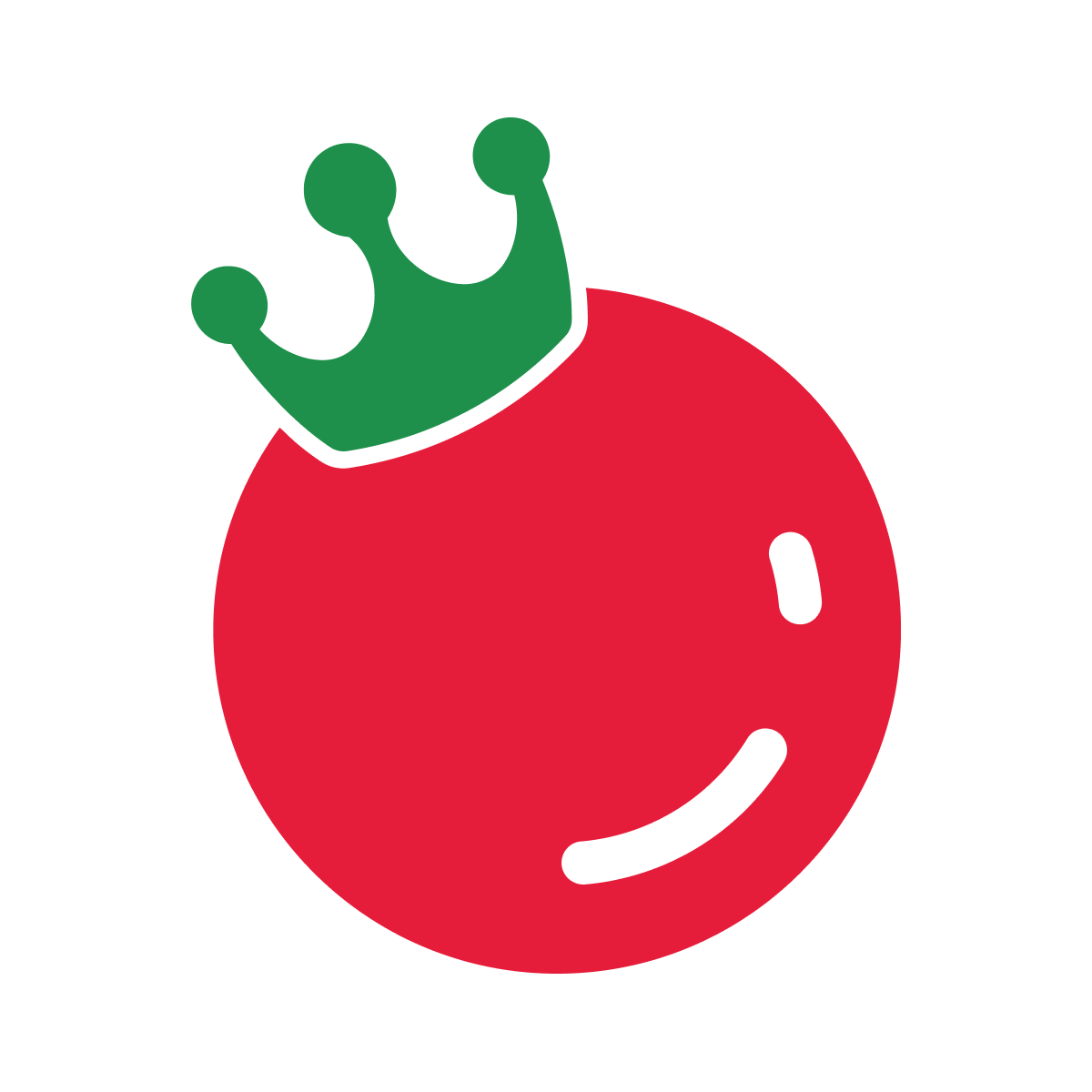 NovaTomato logo