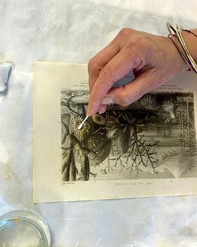 Petites interventions sur œuvres sur papier
