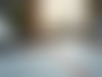 Understanding the Role of a Real Estate agent: Real Estate agent Duties Explained