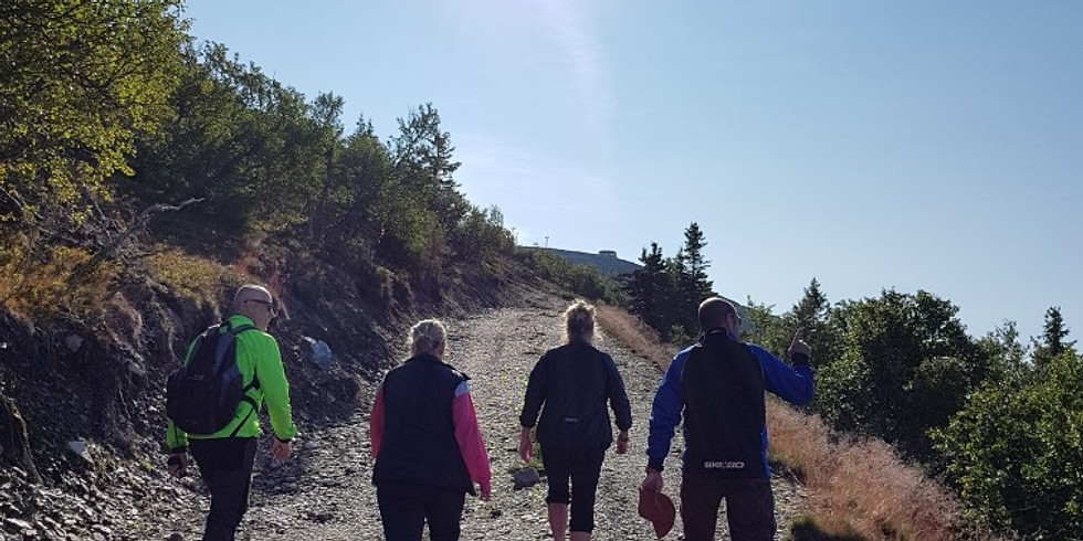 Vandring och yoga i Lofsdalsfjällen 2020 AVSLUTAD