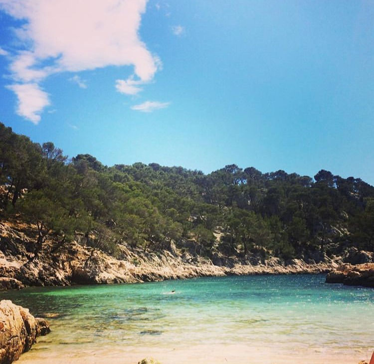 Hidden Gems in Provence Calanques de Cassis