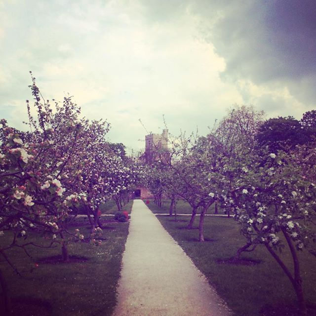 Fulham Palace London, London's Hidden Gems and Parks to visit