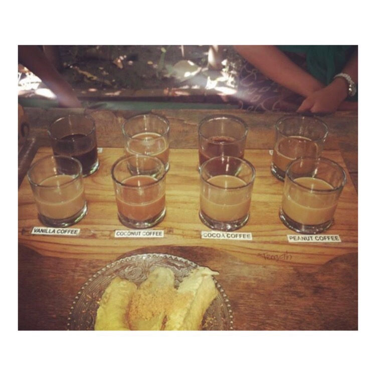 Things to do and see in Bali - Luwak Coffee tasting