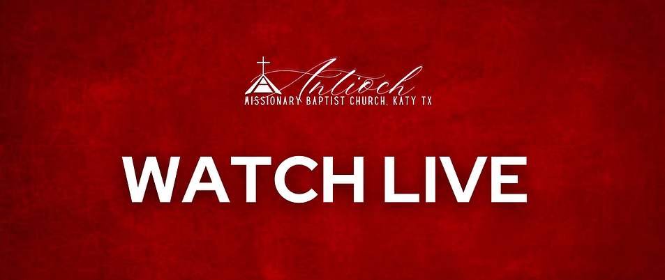 Copy of Contact Cover.png