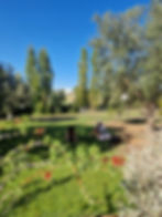 Two friend talking on the grass