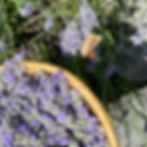 Ringelblumen und Wegwartenblüten auf einem blauen Untergrund